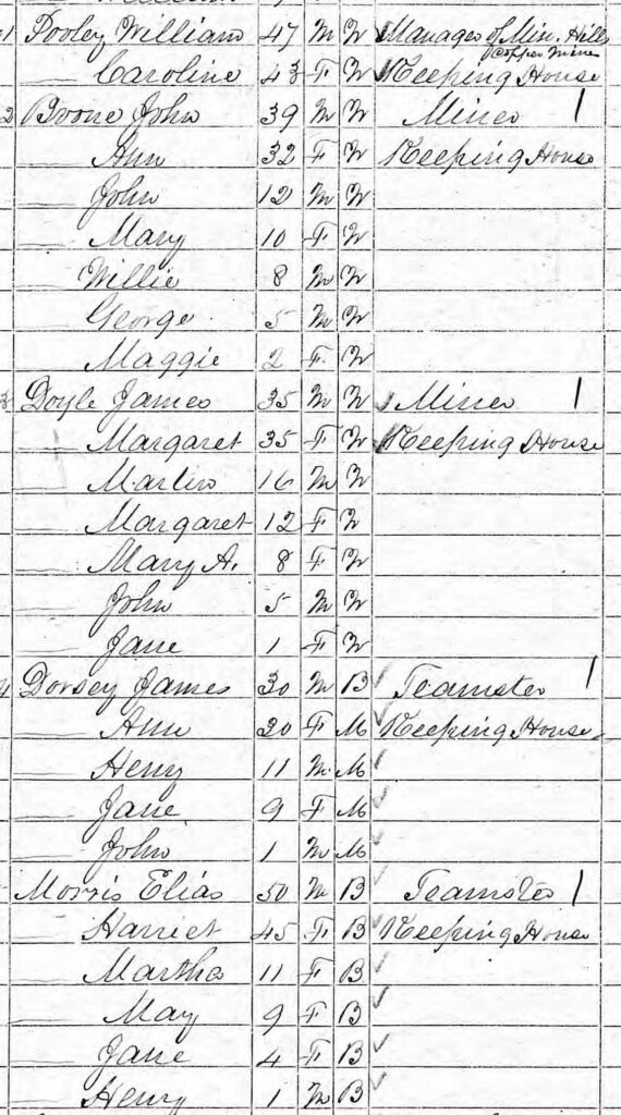 1870 census, Freedom District, detail of residents near the Mineral Hills Copper Mine. (Ancestry.com)